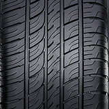 Radar Dimax AS-8 255/40/20 101W Premium All-Season Sport Tire